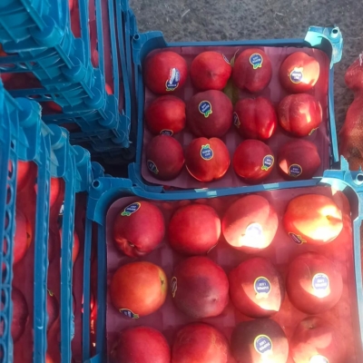 قیمت منصفانه و مناسب بازار