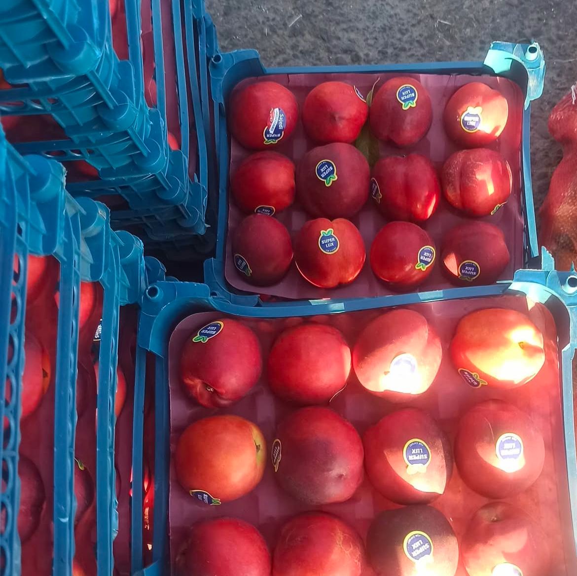 قیمت منصفانه و مناسب بازار