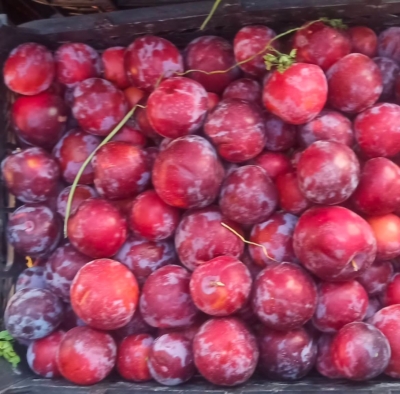 رضایت مشتریان