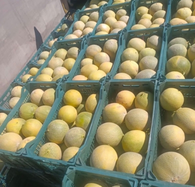 کیفیت ثابت و قابل اعتماد