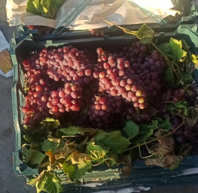 تحویل به‌موقع